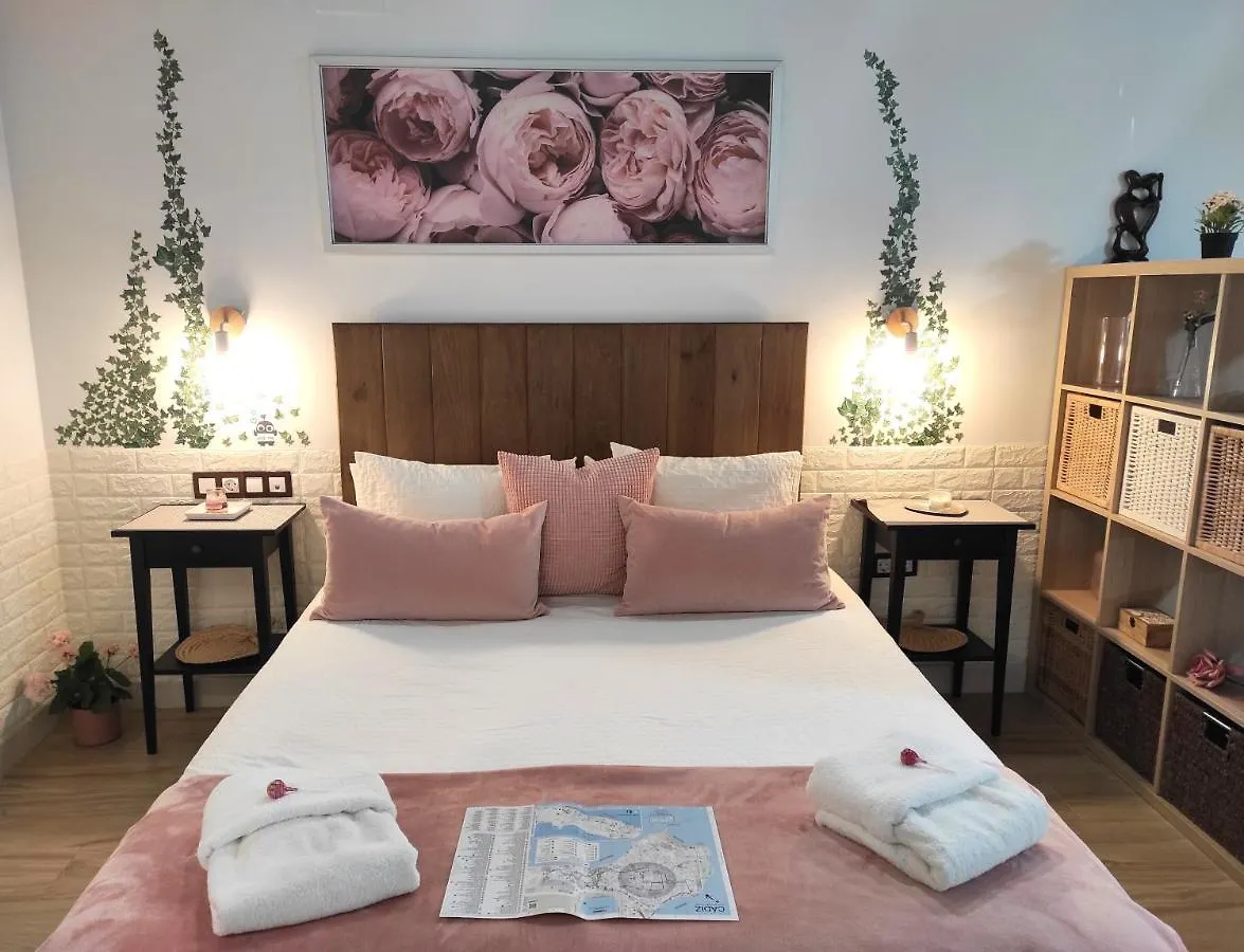Apartamento Loft Puerto De Gades Cadiz 0*,